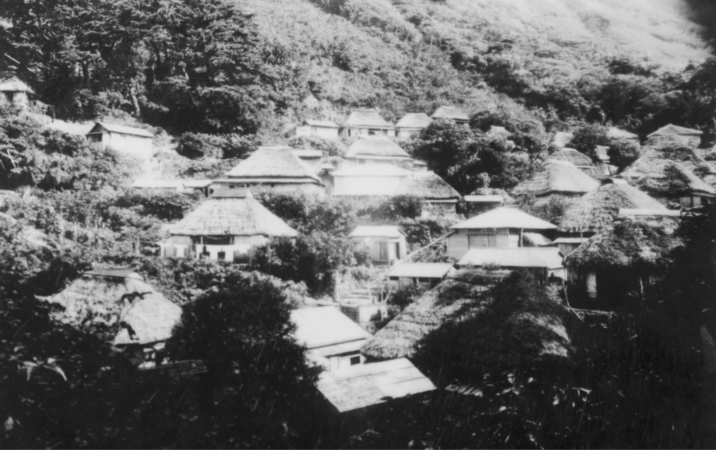 海界の村を歩く 太平洋 御蔵島(東京都)_d0147406_10445792.jpg