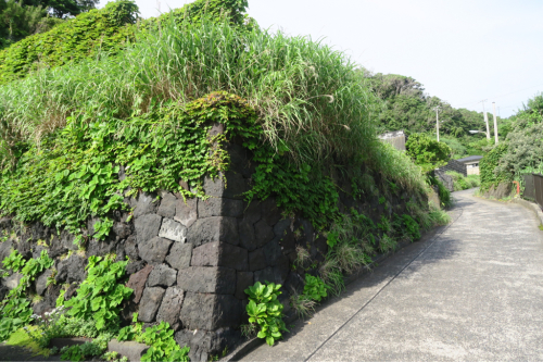 海界の村を歩く 太平洋 三宅島（東京都）_d0147406_20505433.jpg