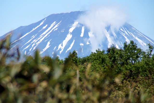 a0345007_1636334.jpg