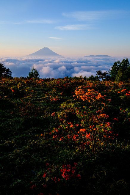 FUJINON XF10-24mmF4 R OIS　レビュー　単焦点に劣らない描写のレンズ_f0302208_17123278.jpg