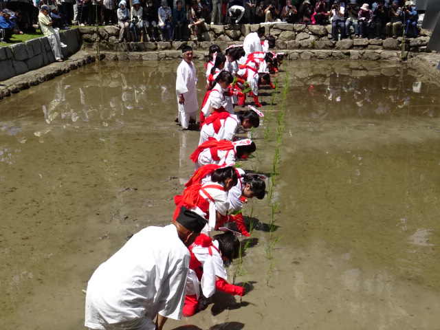 大山祇神社の御田植祭.…2016/6/9_f0231709_96127.jpg