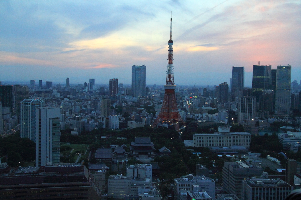 夕暮れ迫る東京を黄色い幸運が駆ける - 2016年・ドクターイエロー -_b0190710_23541115.jpg