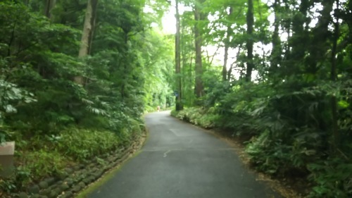 e0345320_22072002.jpg