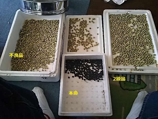 f0227321_21291527.jpg