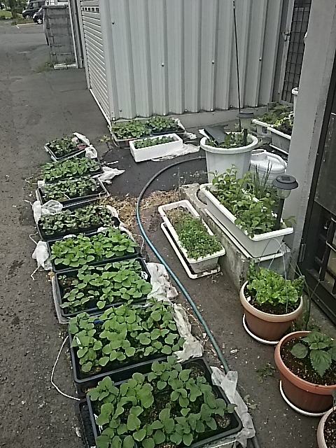 f0227321_21402129.jpg