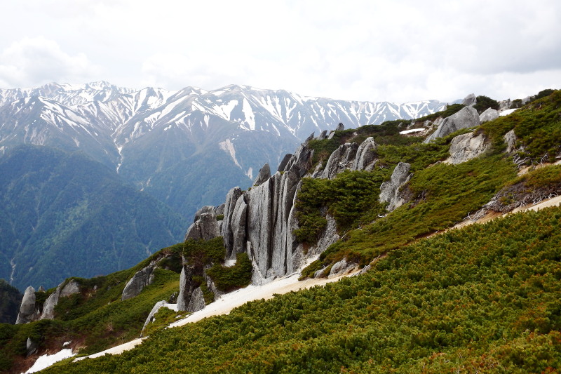 登友会6月定例登山＠燕岳~その2_f0330321_10545181.jpg