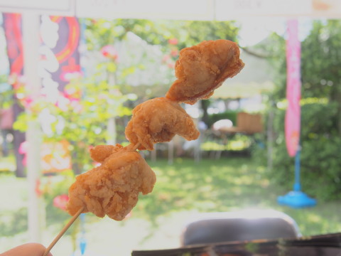 大館バラまつり:石田ローズガーデン(秋田県大館市)*2016.06.10_b0147224_20351351.jpg