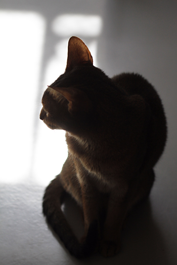 e0090124_03469.jpg
