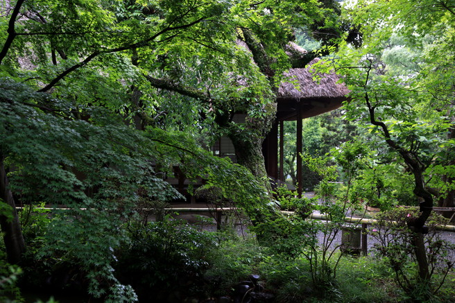 京王百草園にて Vol.2_a0120949_838284.jpg