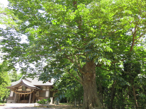 b0238249_16504122.jpg