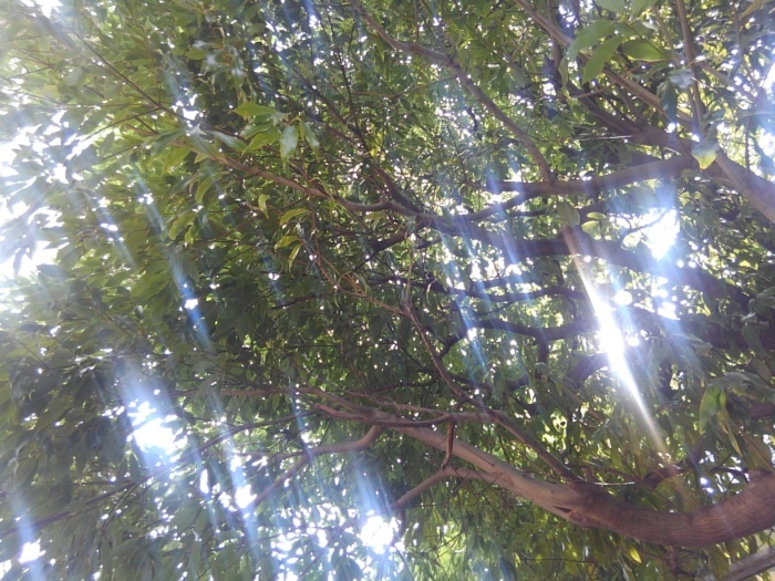 風にふかれて_f0246254_14381627.jpg