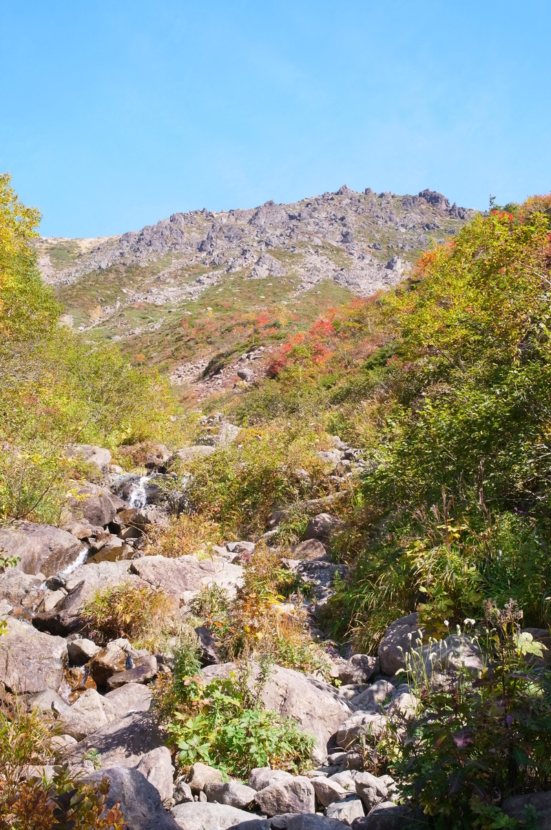 車中泊で気ままな一人旅/日本百名山-早池峰山②（岩手県）_a0288155_22343590.jpg