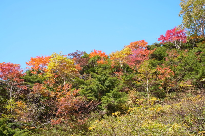 車中泊で気ままな一人旅/日本百名山-早池峰山②（岩手県）_a0288155_22352945.jpg