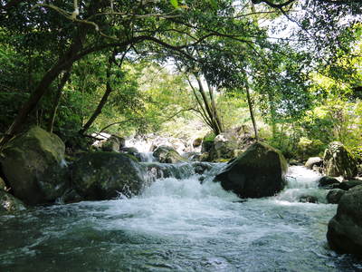a0254656_68345.jpg
