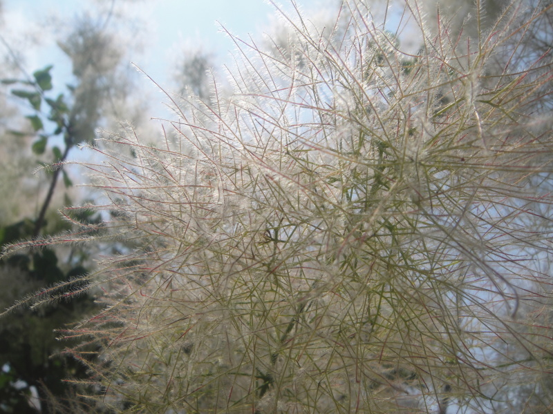 c0108460_21005582.jpg