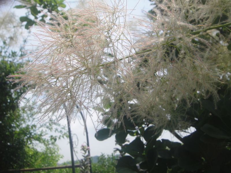c0108460_21005651.jpg