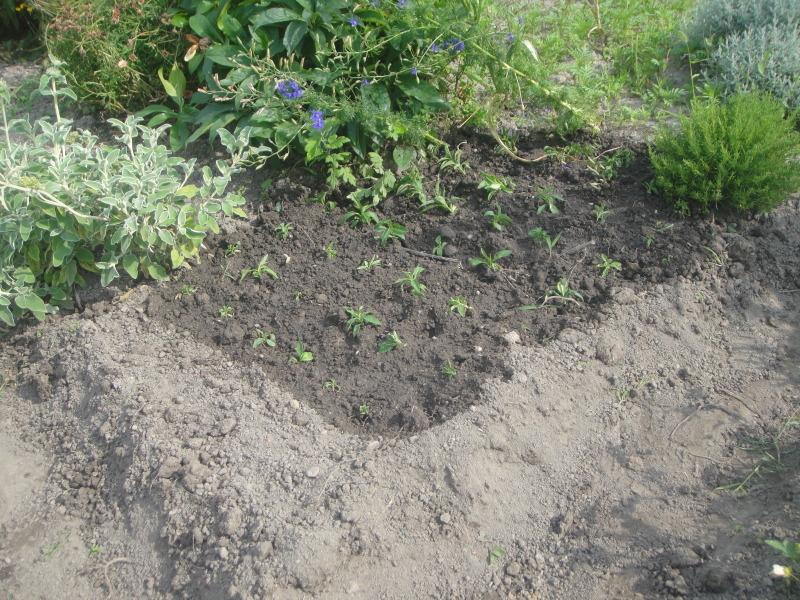 c0108460_21024261.jpg