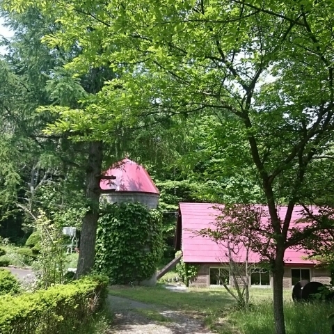 c0311170_18135099.jpg