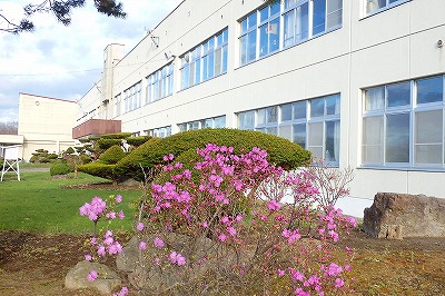 b0191190_7384620.jpg
