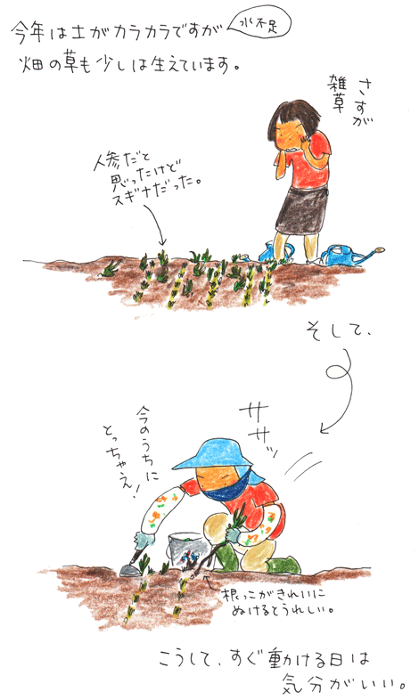 f0236291_559438.gif