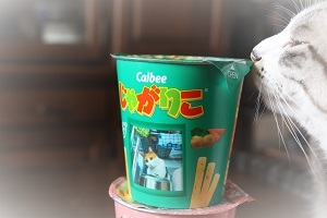 ありがとね~~~。。。_a0333195_16140012.jpg