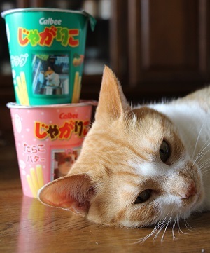 ありがとね~~~。。。_a0333195_16143210.jpg