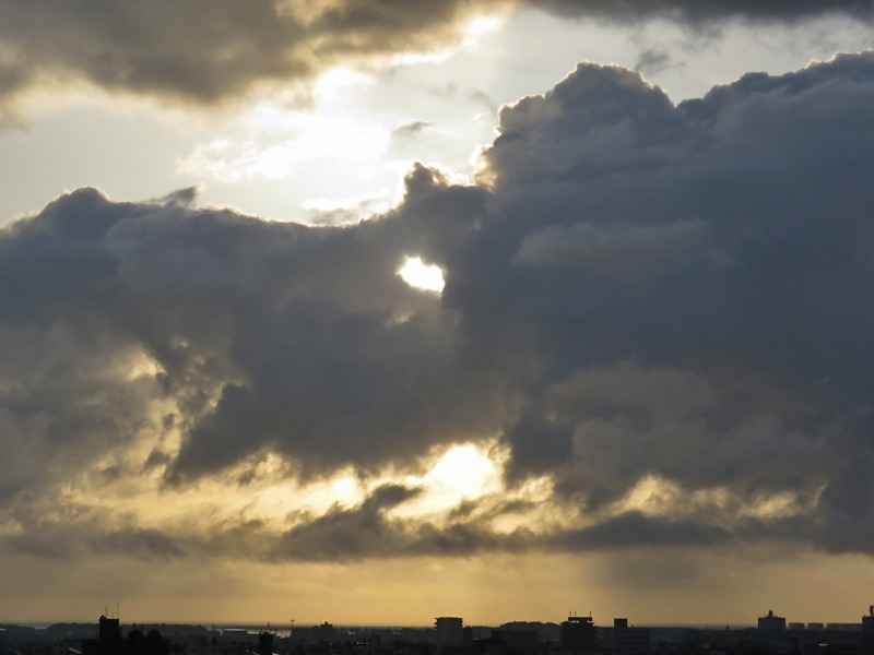 朝の空、朝のカラスに朝のネコ、そしてもちろん朝の犬^m^_c0049299_2310984.jpg