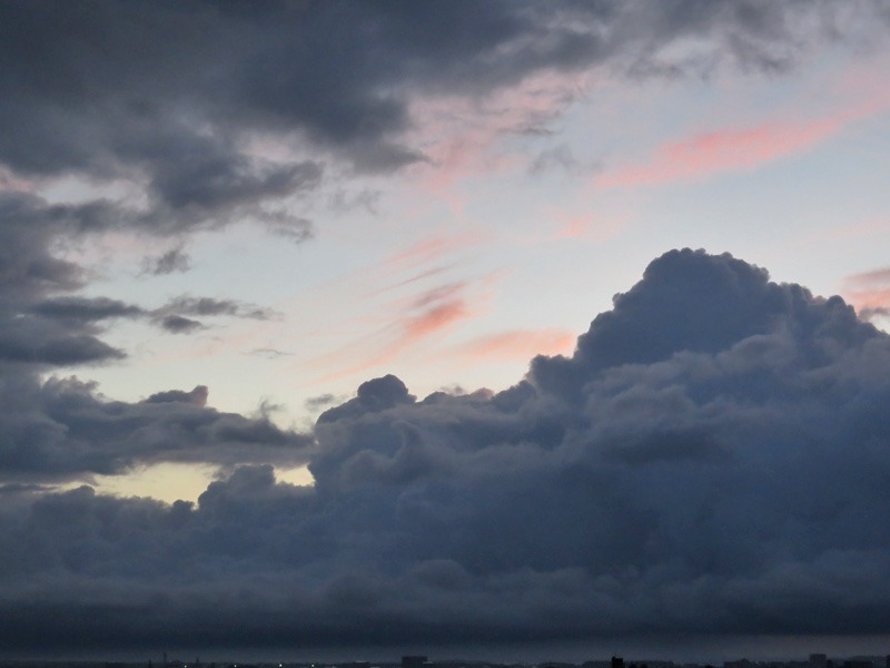 朝の空、朝のカラスに朝のネコ、そしてもちろん朝の犬^m^_c0049299_238105.jpg
