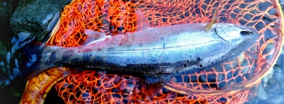 f0266202_20565519.jpg