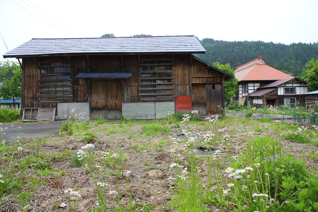 花咲く三島谷 _b0190710_18521386.jpg