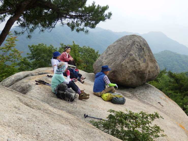 大野権現山(699.5m)_f0219710_08323626.jpg