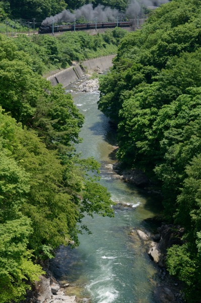 e0005714_92560.jpg