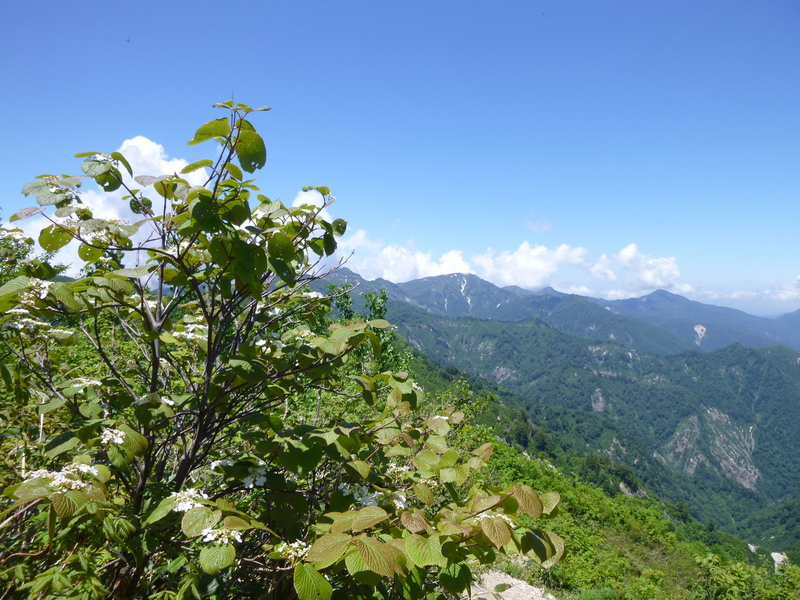 d0170615_10465734.jpg
