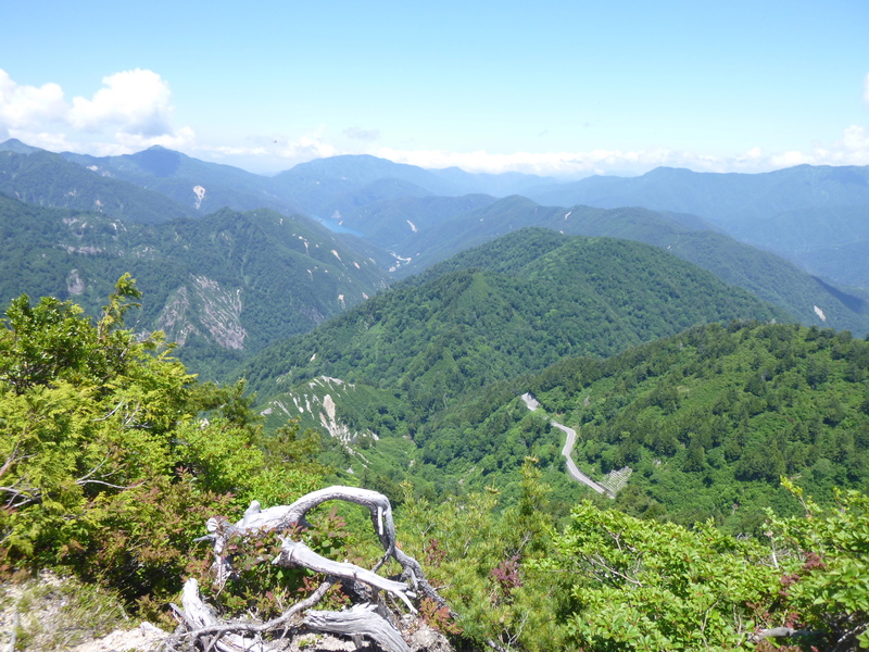 d0170615_10473438.jpg