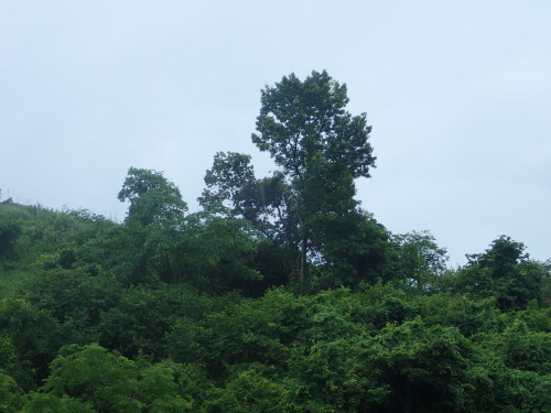 a0315918_13433550.jpg