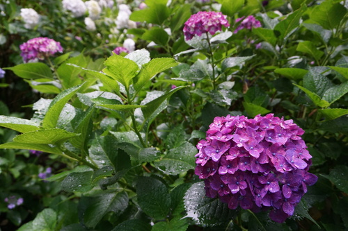 a0238019_2262925.jpg