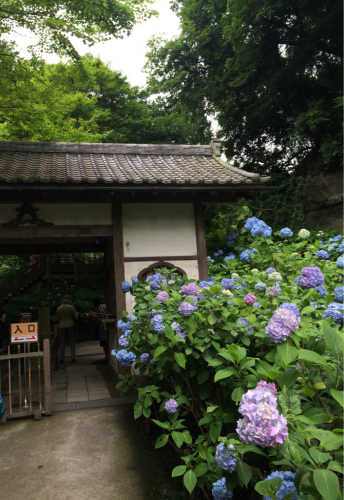 鎌倉旅行記。_d0336521_18533276.jpg