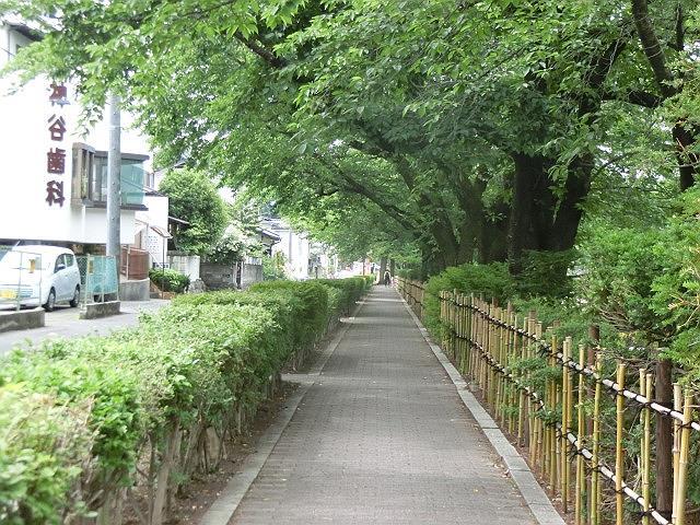 　　　ラッキョウとお付き合いの日曜日_e0234924_18301743.jpg