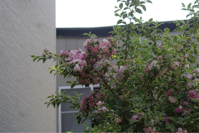 f0170524_14470878.jpg