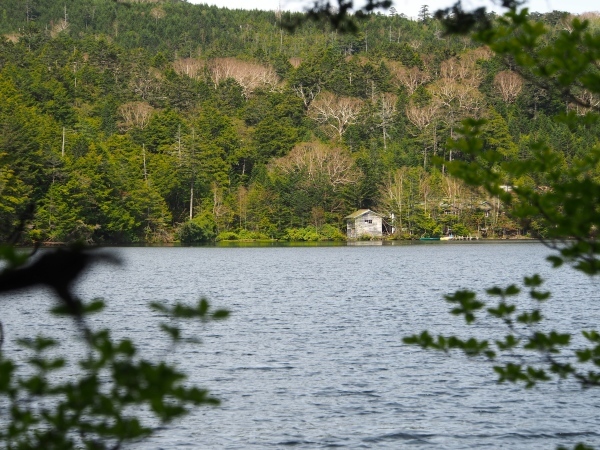 f0353034_20170136.jpg