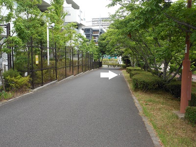 c0261346_1345512.jpg