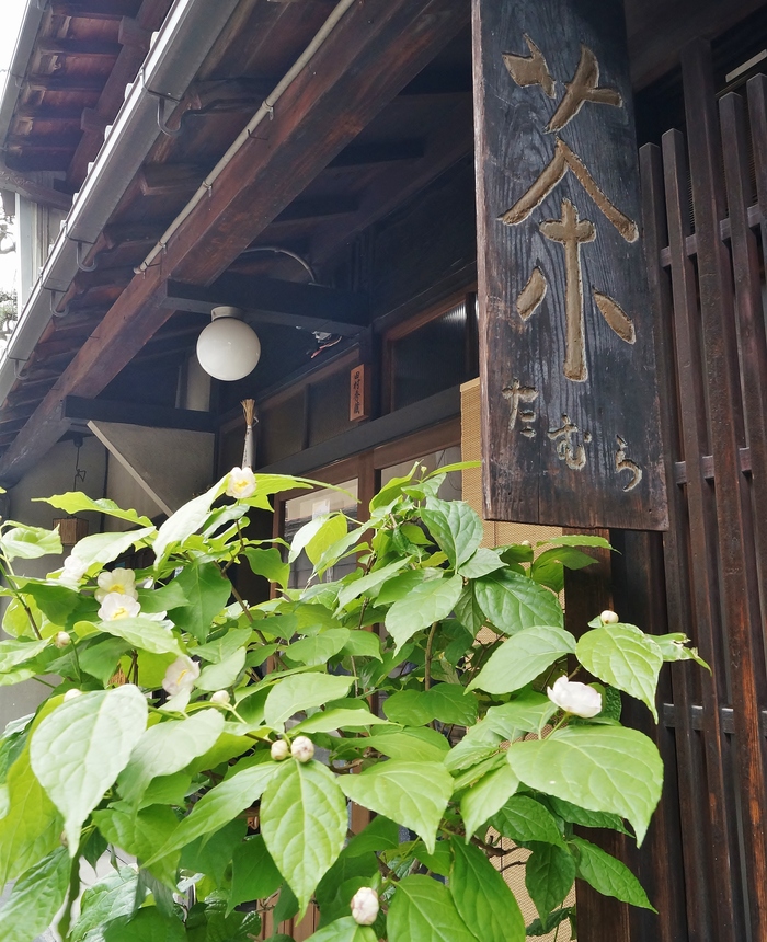 奈良町　田村青芳園茶舗の店先に咲く花_b0063958_82595.jpg