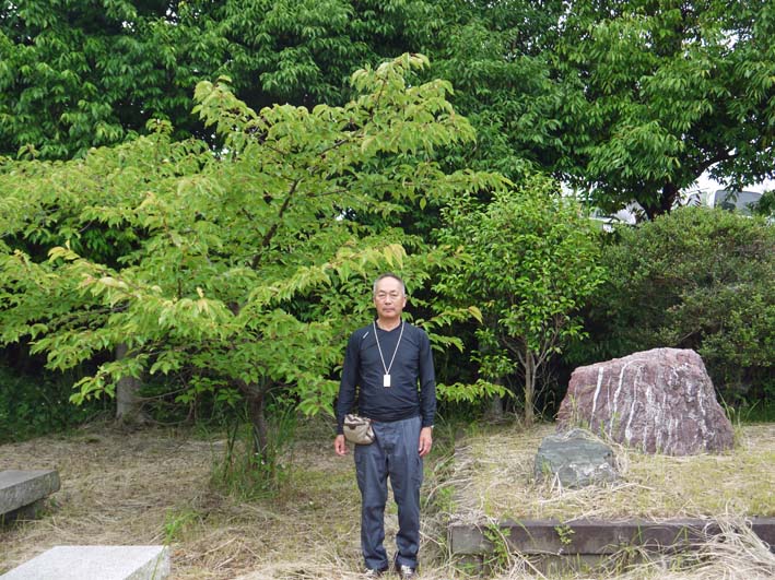 野口初太郎翁頌徳碑建立地の河津桜、７年間でこんなに成長_c0014967_1343574.jpg