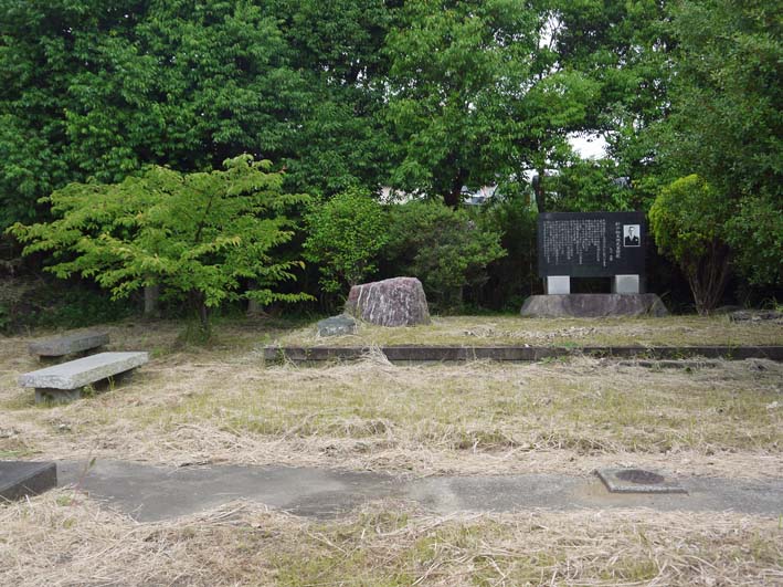 野口初太郎翁頌徳碑建立地の河津桜、７年間でこんなに成長_c0014967_1391689.jpg