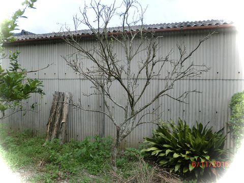 d0321567_8122765.jpg