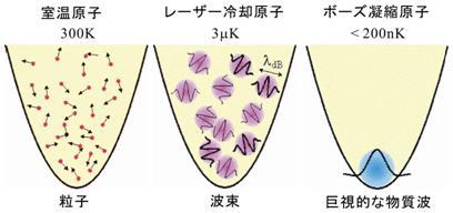 2．7ボース・アインシュタイン凝縮 : エネルギー体理論 (素