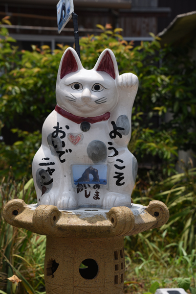 福岡の猫島「相島」（あいのしま）の猫写真アップ！_e0171573_162072.jpg