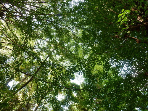 f0054677_08060093.jpg