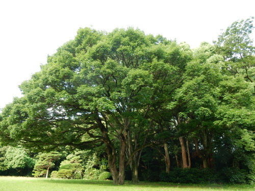 f0054677_08064140.jpg