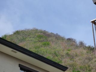 2016年6月12日 強羅グアムドッグさん_b0098584_18315880.jpg